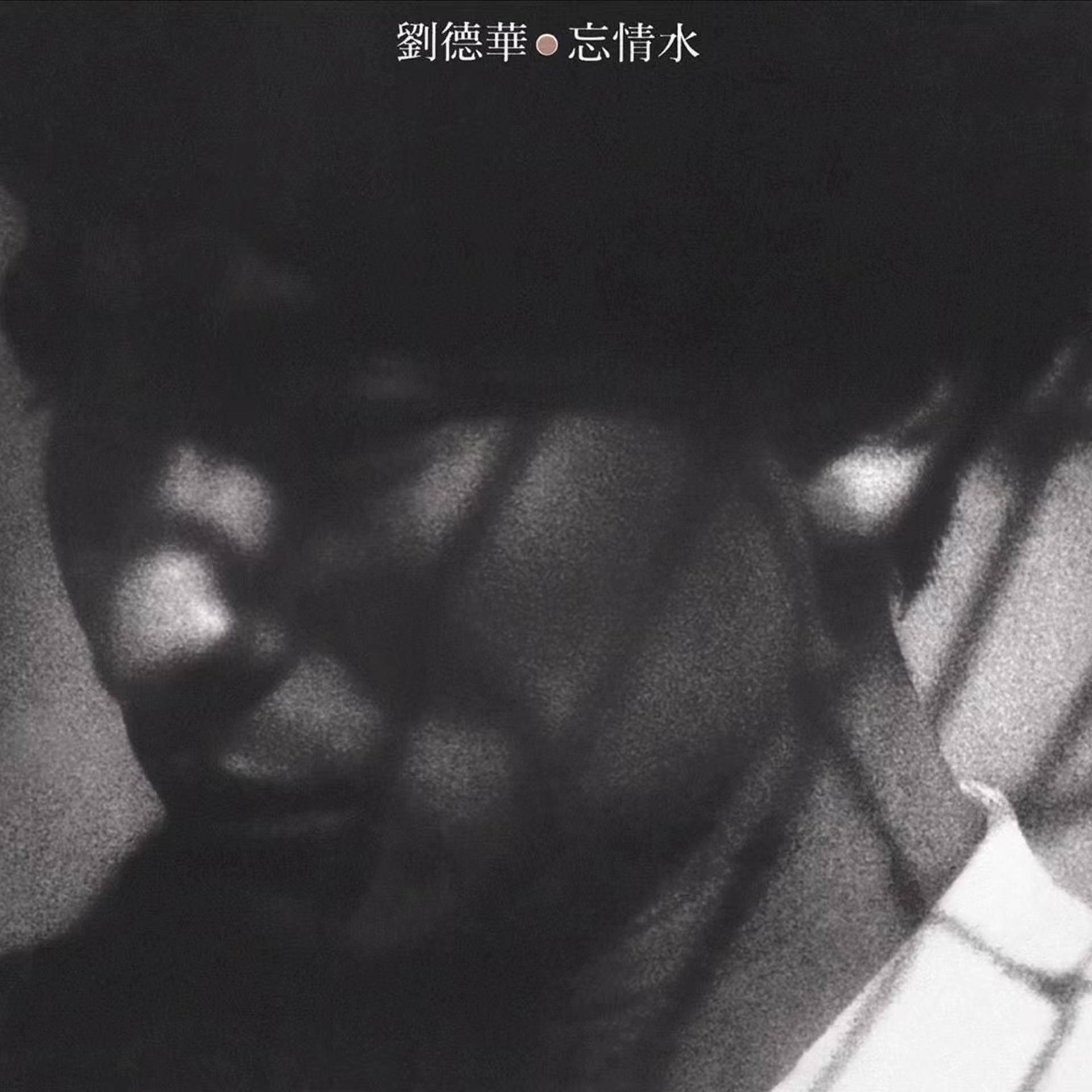 刘德华《忘情水》[FLAC/MP3-320K]高品质无损音乐文件免费下载